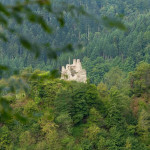 Schenkenburg castle ruin